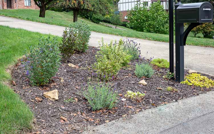 Mailbox garden 3 months after planting