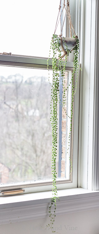 string of pearls in a teacup