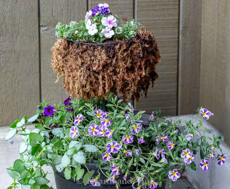 Close up of flowers in tiered planter.