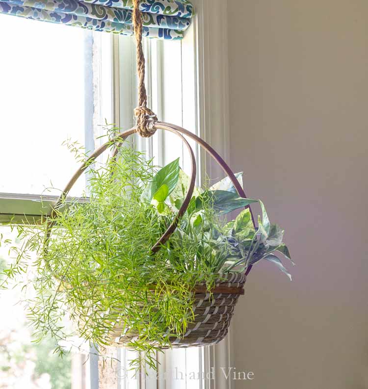 Easy Diy Hanging Basket Planter With Embroidery Hoops - Diy Hanging Flower Pot Holder