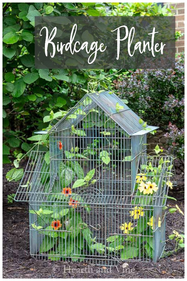 Put Antique Bird Cages to Use With 11 Creative Upcycle Ideas