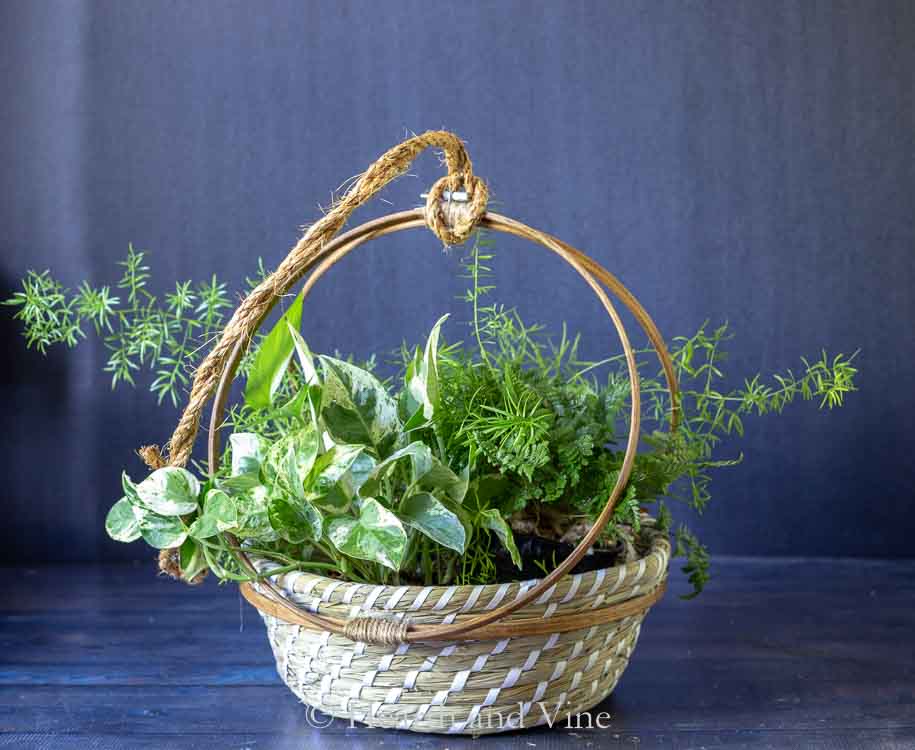 Embroidery hoop basket planter