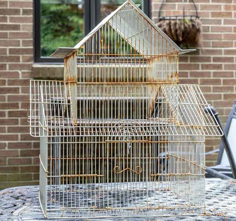 Put Antique Bird Cages to Use With 11 Creative Upcycle Ideas