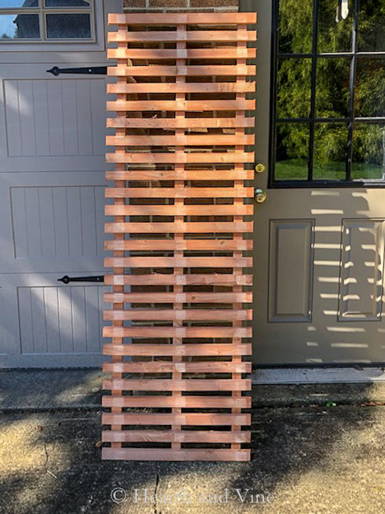 cedar lattice