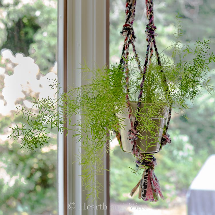 Fabric Twine Plant Hanger Made from Scrap Materials | DIY ...