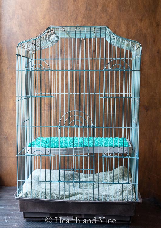 UpCycle Cage