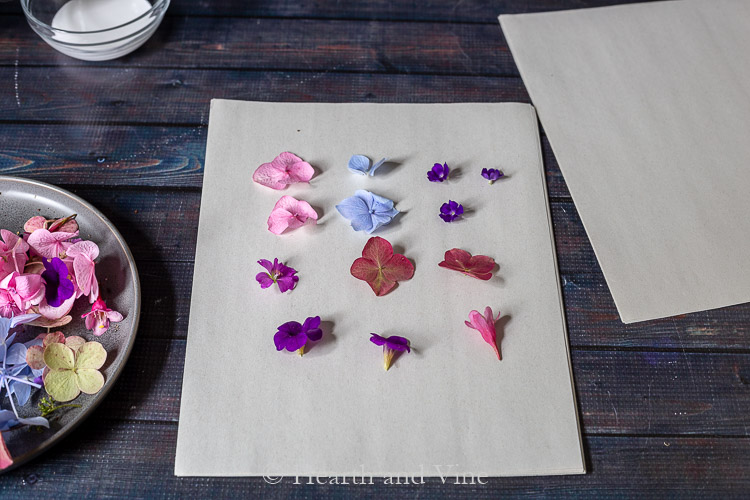 Fresh flowers on blotting paper