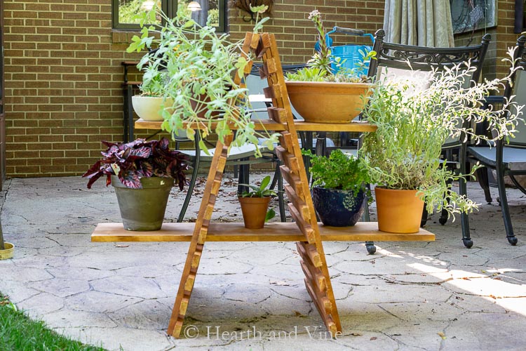 Outdoor plant stand with multiple plants