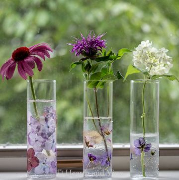 Pressed flower vases