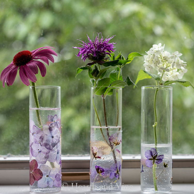 How to Make Pressed Flower Vases