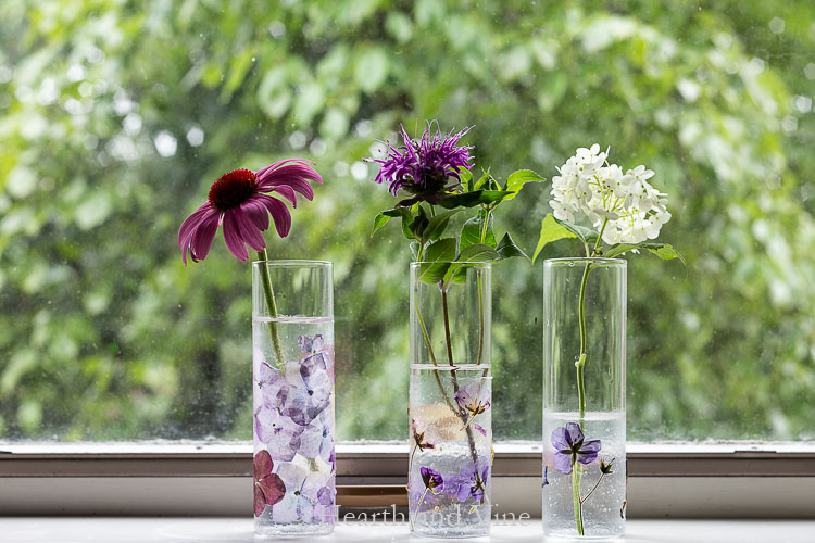 Pressed flower vases in window