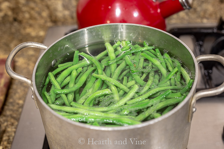 Blanching green beans in pot of boiling water