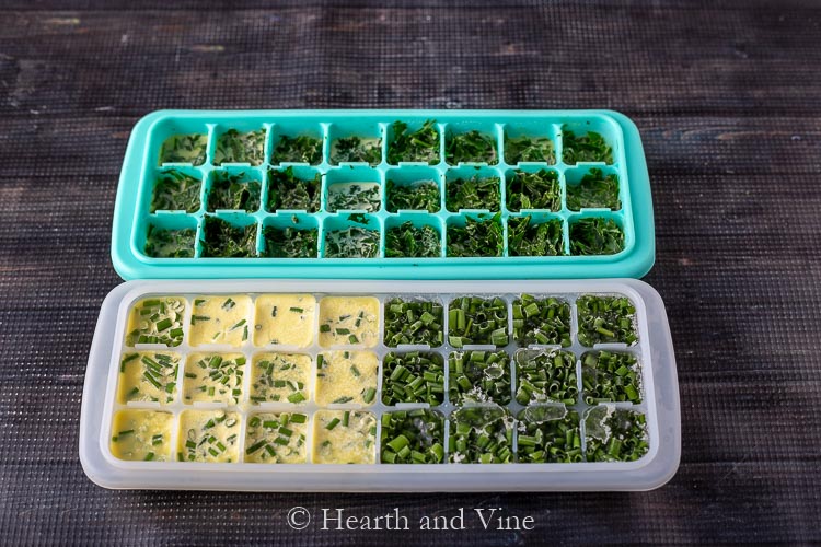 Ice cube trays with chives and cilantro