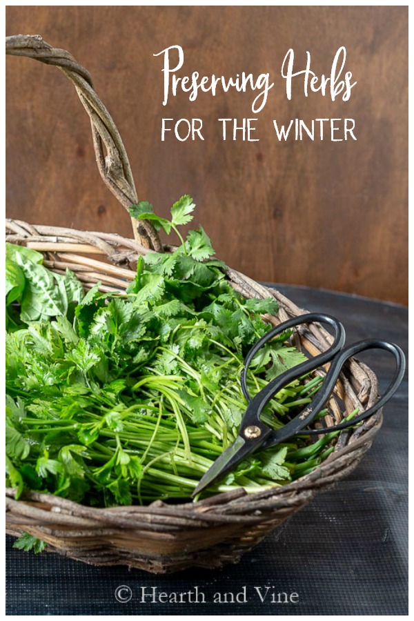 Basket of cut herbs