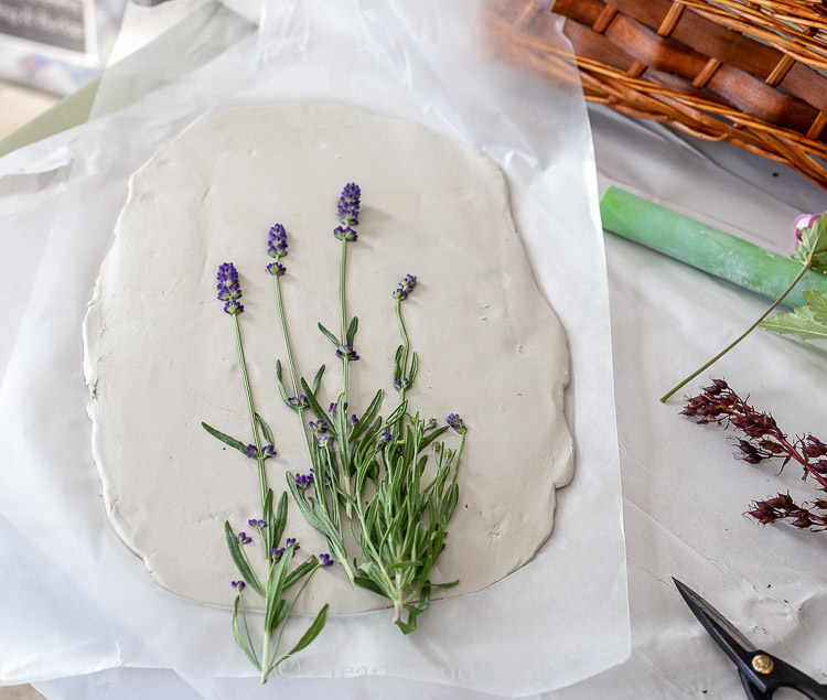 Lavender pressed into clay
