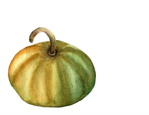 Pumpkin small size