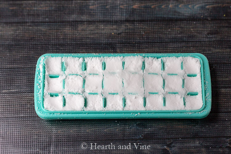 toilet bombs in ice cube trays
