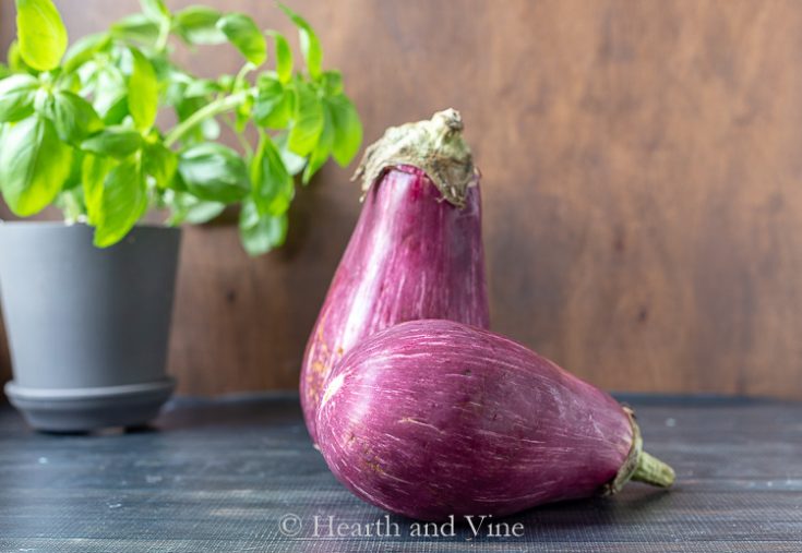 Low Carb Eggplant Lasagna - Healthy and Delicious | Hearth and Vine