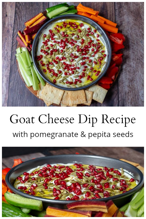 Goat Cheese Dip with Pomegranate and Pepita Seeds Hearth and Vine