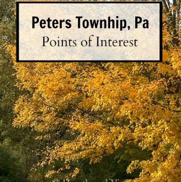 Peters township maple