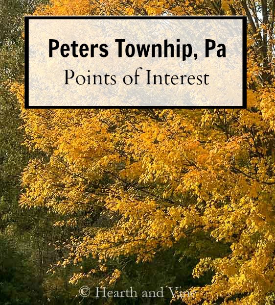 peters township zip code