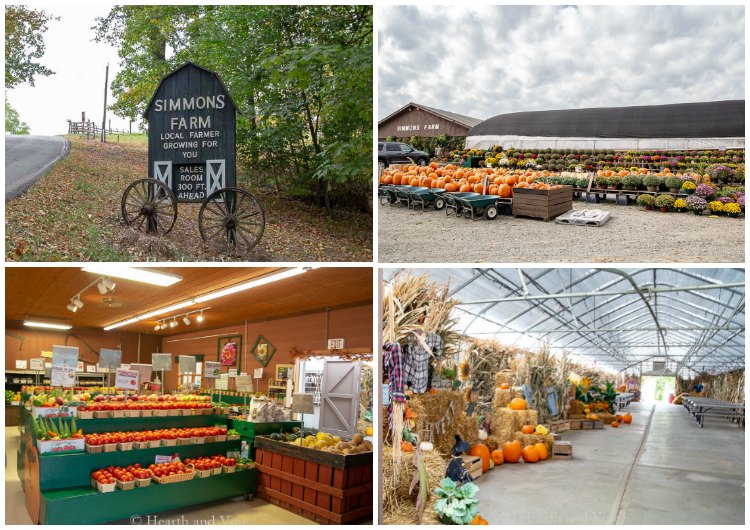 Simmons farm in Peters Township, market and activity center