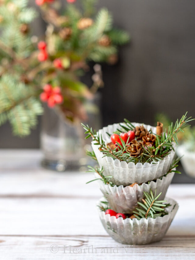 DIY Fire Starters Holiday Gift Idea Hearth and Vine