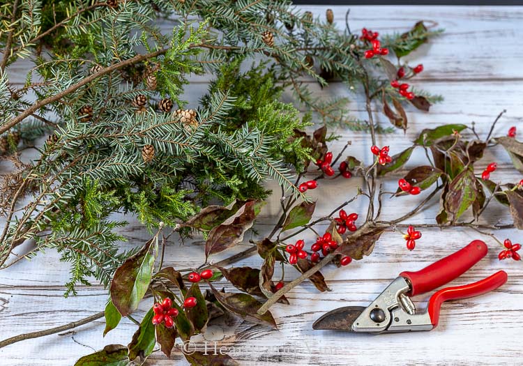 Cut pine branches and dogwood berries