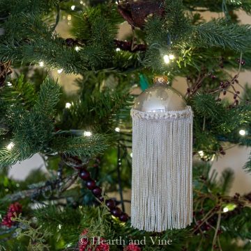 Fringe ornament on tree