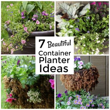 Container gardening collage