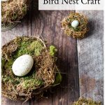 Handmade bird nests with eggs