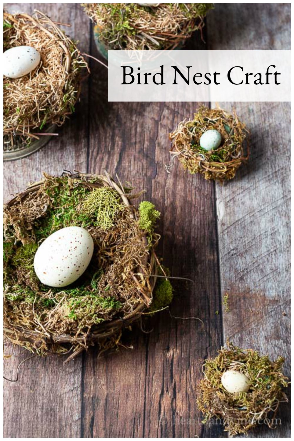 Bird Nest Craft Ideas