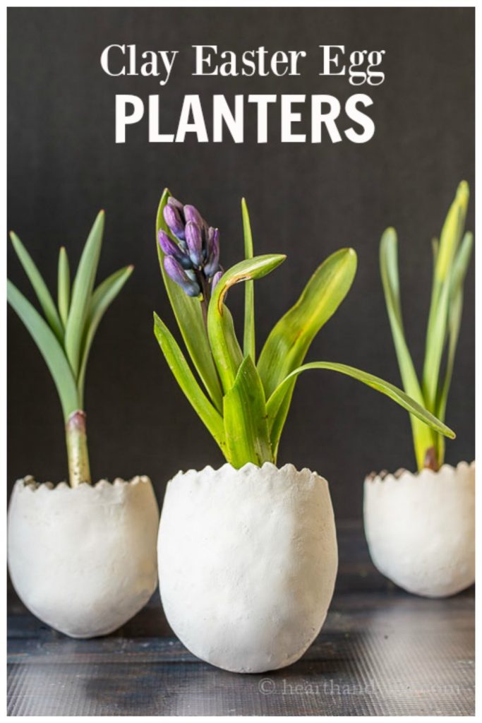 Three clay egg planters with real flower bulbs growing