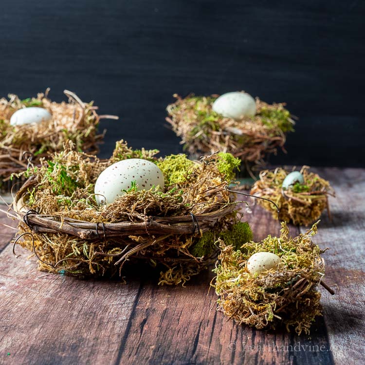 Bird Nest Craft for Your Spring Decor