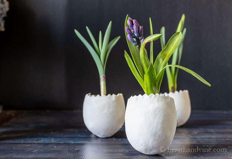 Fresh flowers in clay egg planters