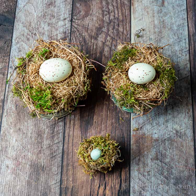 Three handmade bird nests