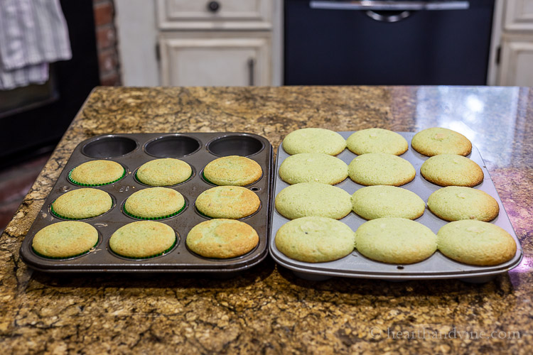 Baked cupcakes in 2 sizes