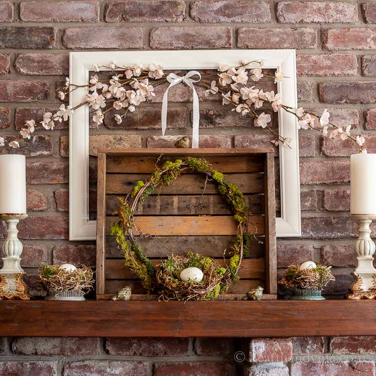 Spring mantel with bird nests and moss