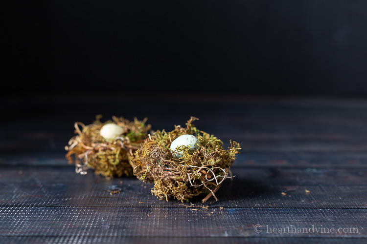 Two mini bird nests with eggs