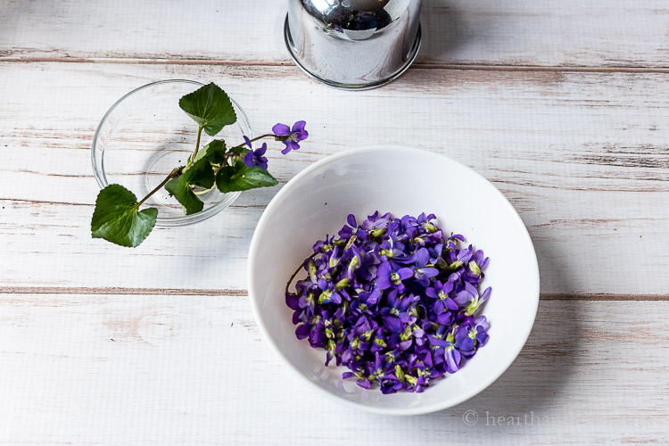 Wild violets in a bowl