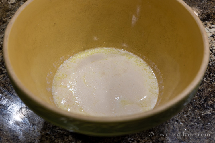 Foamy yeast in bowl