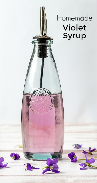 Homemade wild violet syrup in a pouring bottle