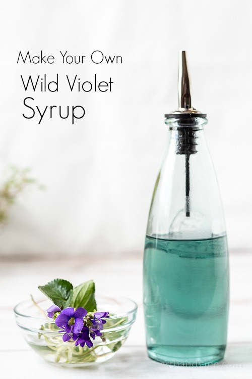 Homemade Wild Violet Syrup Recipe Hearth and Vine