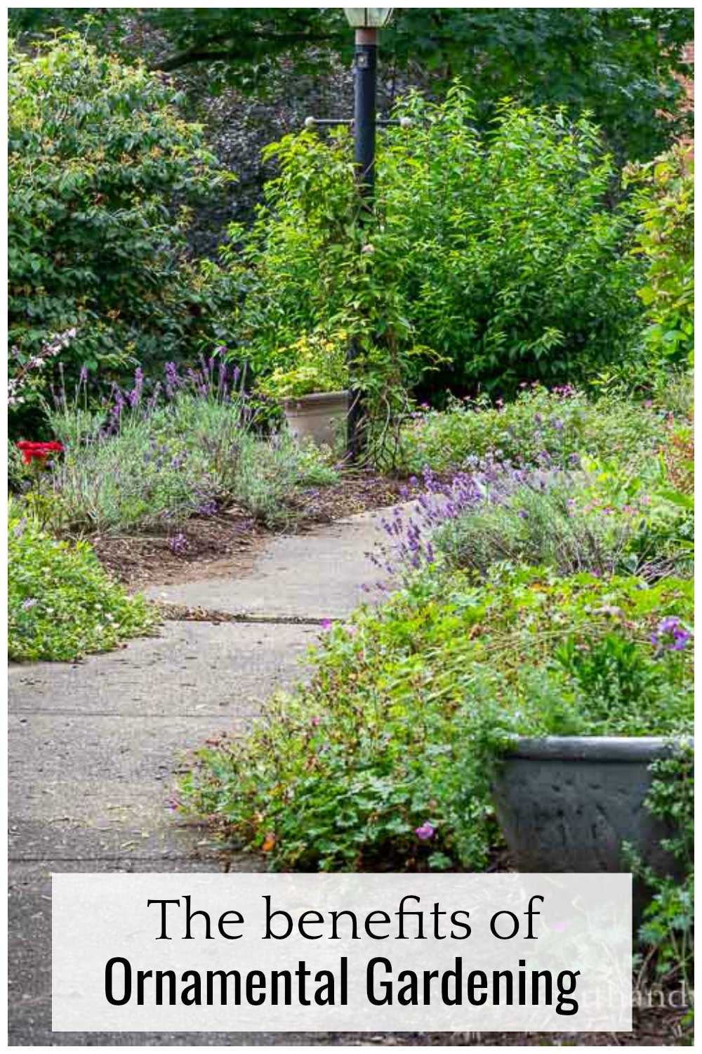 The Importance of Ornamental Gardening Hearth and Vine