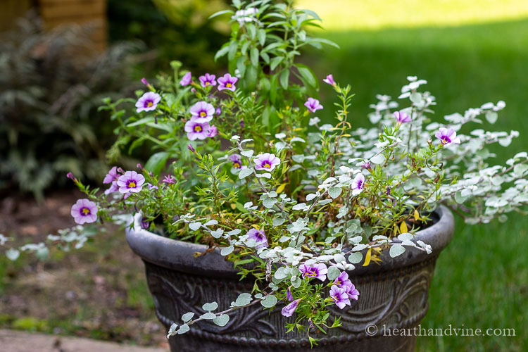 Flower Container 