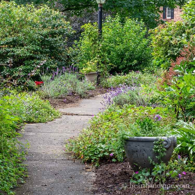 Front walkway and garden shrubs and flowers.