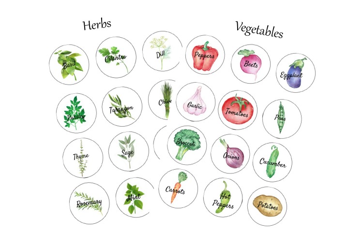 Herb and vegetable round label printables