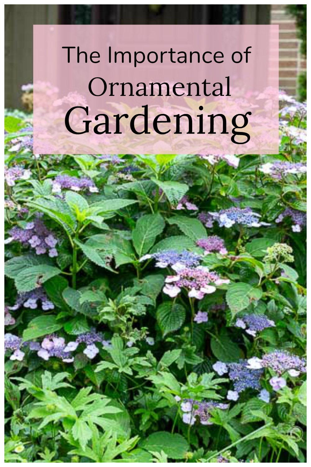 The Importance of Ornamental Gardening Hearth and Vine