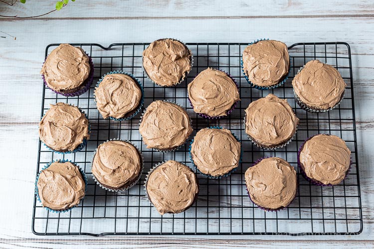 Sour Cream Chocolate Cupcakes from Scratch Hearth and Vine