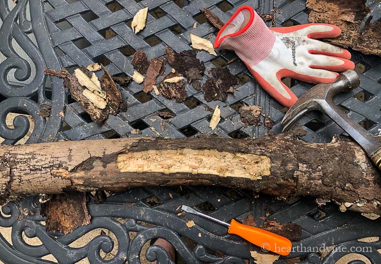 Chiseled out log.